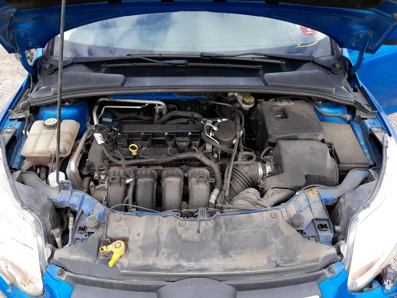 Photo 7 from auction – 2012 FORD FOCUS SE with VIN 1FAHP3K20CL243007