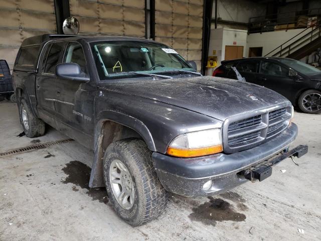 DODGE DAKOTA QUA 2002 with VIN 1B7HG38N22S670804 - Photo from auction