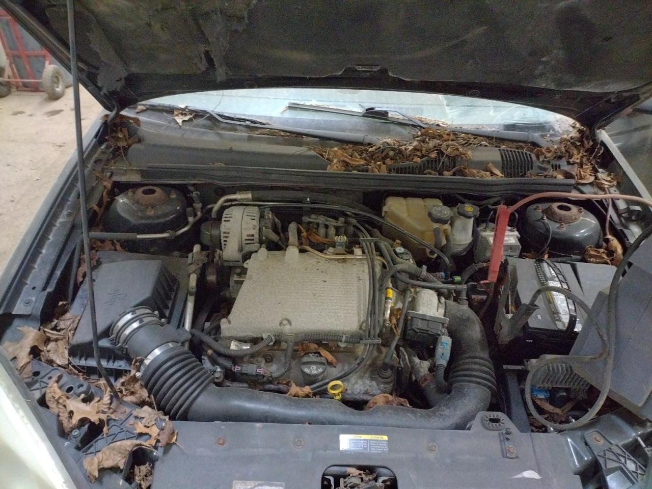 Photo 7 from auction – 2004 CHEVROLET MALIBU with VIN 1G1ZU54884F244564