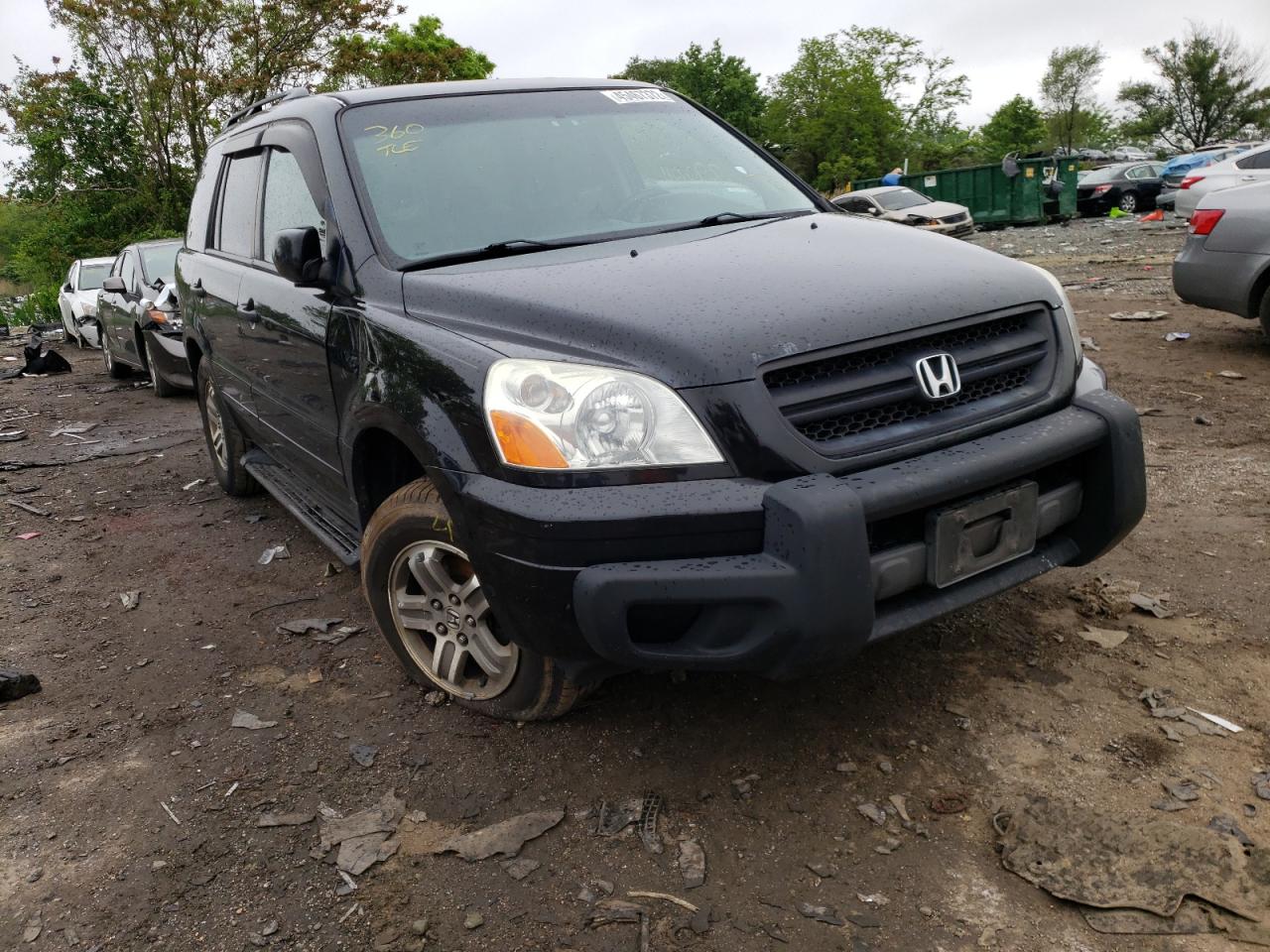 HONDA PILOT EXL 2004 with VIN 2HKYF18644H511011 - Photo from auction
