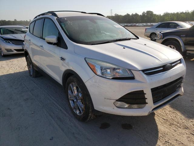 FORD ESCAPE SEL 2013 with VIN 1FMCU0HX0DUD85590 - Photo from auction