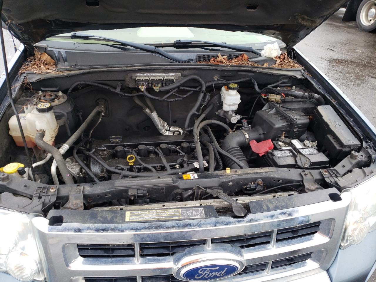 Photo 7 from auction – 2011 FORD ESCAPE LIM with VIN 1FMCU9E79BKA99710
