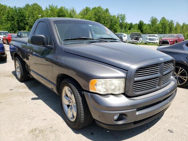 DODGE RAM 1500 2002 with VIN 1D7HA16N52J205969 - Photo from auction
