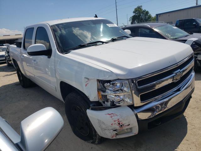 CHEVROLET SILVERADO 2008 with VIN 2GCEC13JX81329229 - Photo from auction