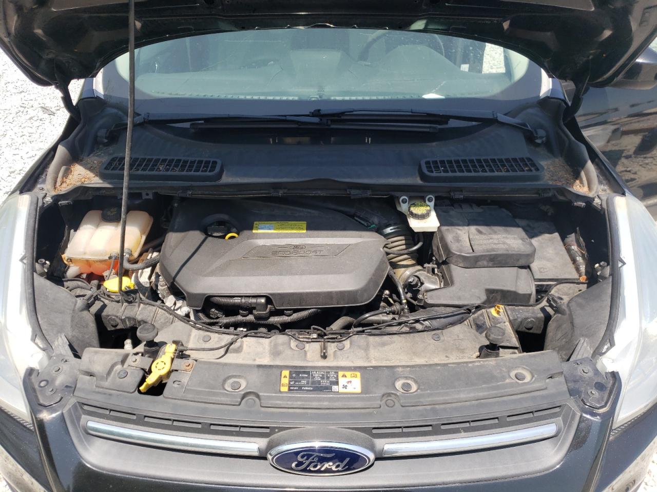 Photo 7 from auction – 2014 FORD ESCAPE SE with VIN 1FMCU0GX6EUC46938