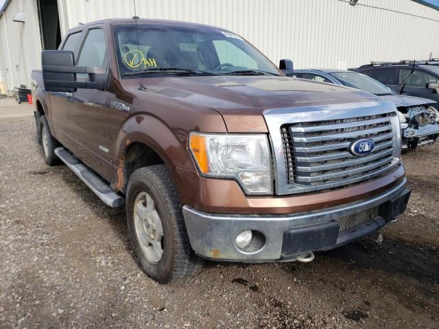 FORD F150 SUPER 2011 con VIN 1FTFW1ET7BFA97697 - Foto de la subasta