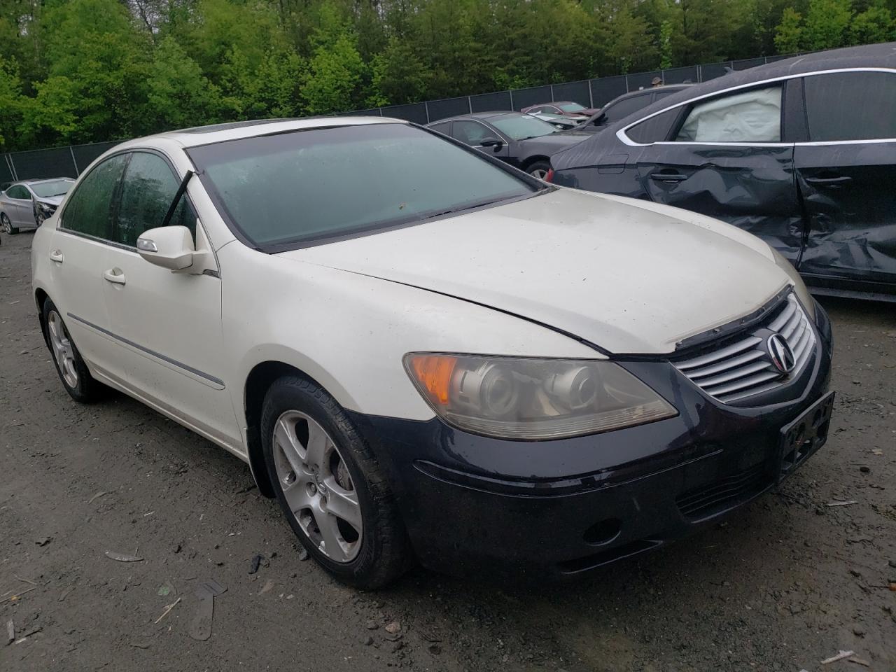 ACURA RL 2005 with VIN JH4KB16555C012497 - Photo from auction