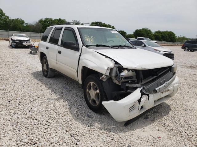 CHEVROLET TRAILBLAZE 2008 with VIN 1GNDS13S682194216 - Photo from auction