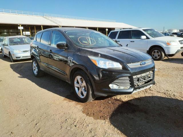 FORD ESCAPE 2014 with VIN 1FMCU0G91EUE13689 - Photo from auction