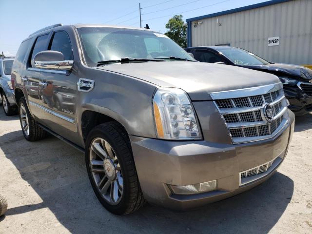 CADILLAC ESCALADE P 2012 with VIN 1GYS3FEJXCR223368 - Photo from auction