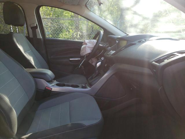 Photo 5 from auction – 2014 FORD ESCAPE SE with VIN 1FMCU9G97EUE49388