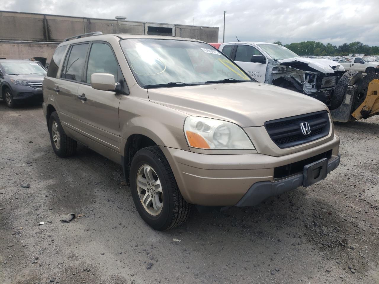 HONDA PILOT EXL 2005 with VIN 2HKYF18755H523503 - Photo from auction