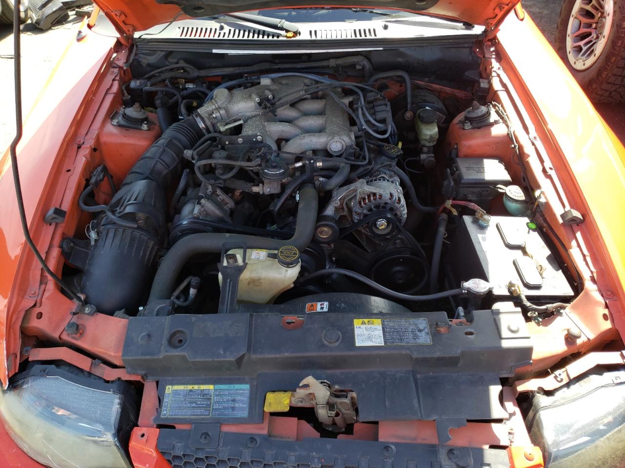 Photo 7 from auction – 2004 FORD MUSTANG with VIN 1FAFP44454F123201