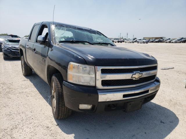 CHEVROLET SILVERADO 2009 with VIN 3GCEK23M19G173870 - Photo from auction