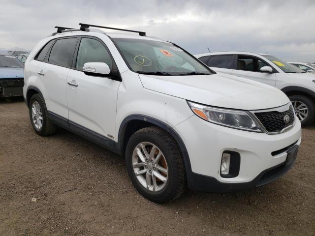 KIA SORENTO LX 2014 with VIN 5XYKTCA63EG497082 - Photo from auction
