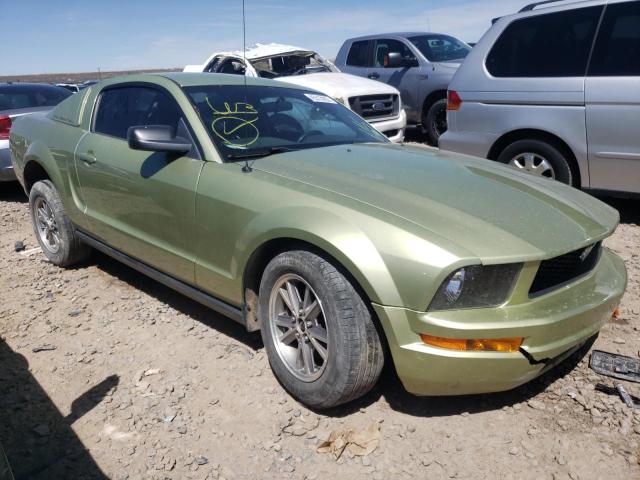 FORD MUSTANG 2005 with VIN 1ZVFT80NX55141306 - Photo from auction
