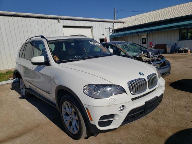 BMW X5 XDRIVE3 2013 with VIN 5UXZV4C54D0E06569 - Photo from auction