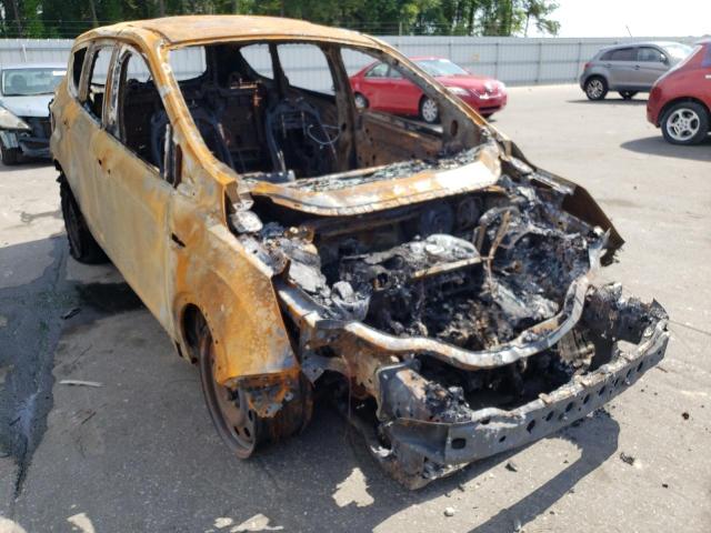 FORD ESCAPE S 2018 with VIN 1FMCU0F73JUB67108 - Photo from auction