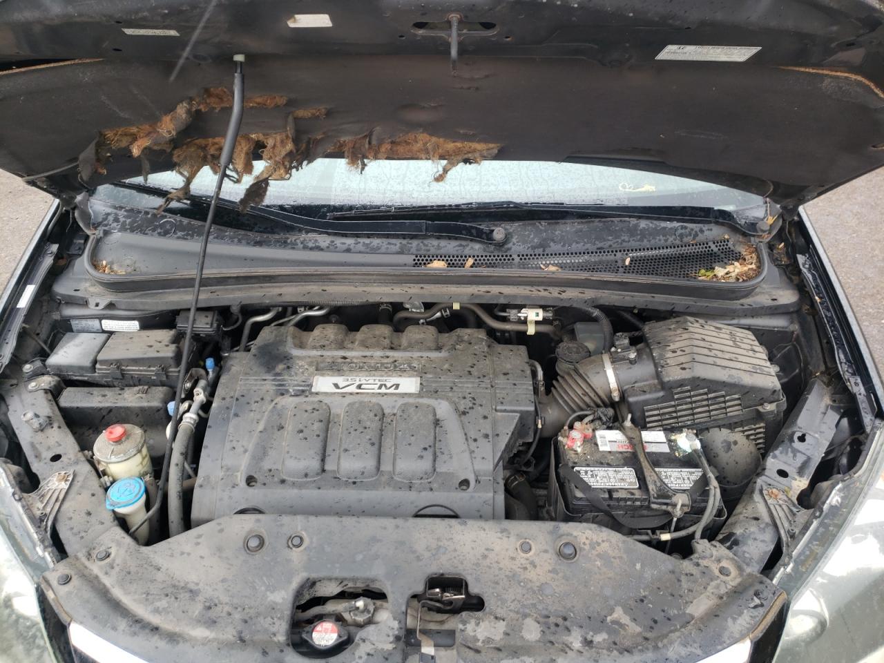Photo 7 from auction – 2010 HONDA ODYSSEY with VIN 5FNRL3H75AB113317