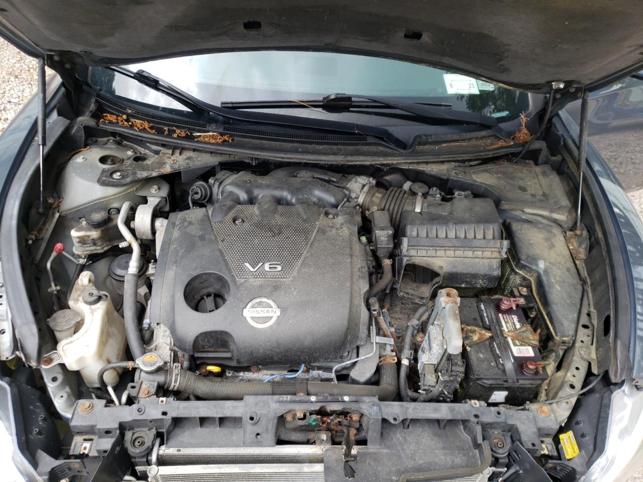 Photo 7 from auction – 2010 NISSAN MAXIMA S with VIN 1N4AA5APXAC808940