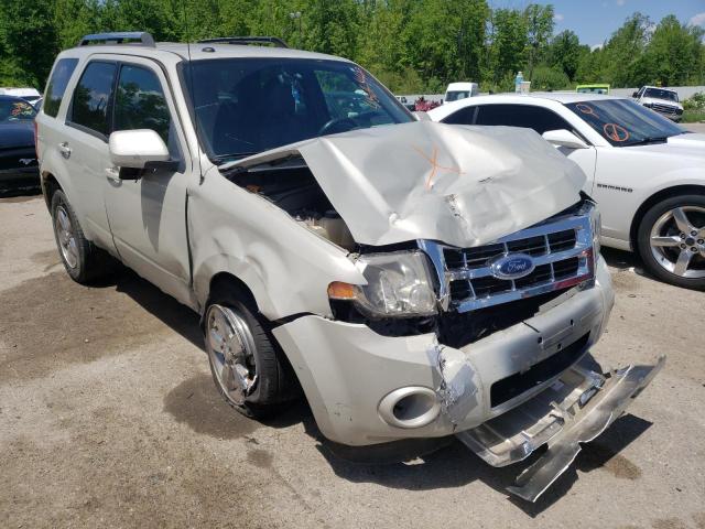 FORD ESCAPE LIM 2009 with VIN 1FMCU04749KC65686 - Photo from auction