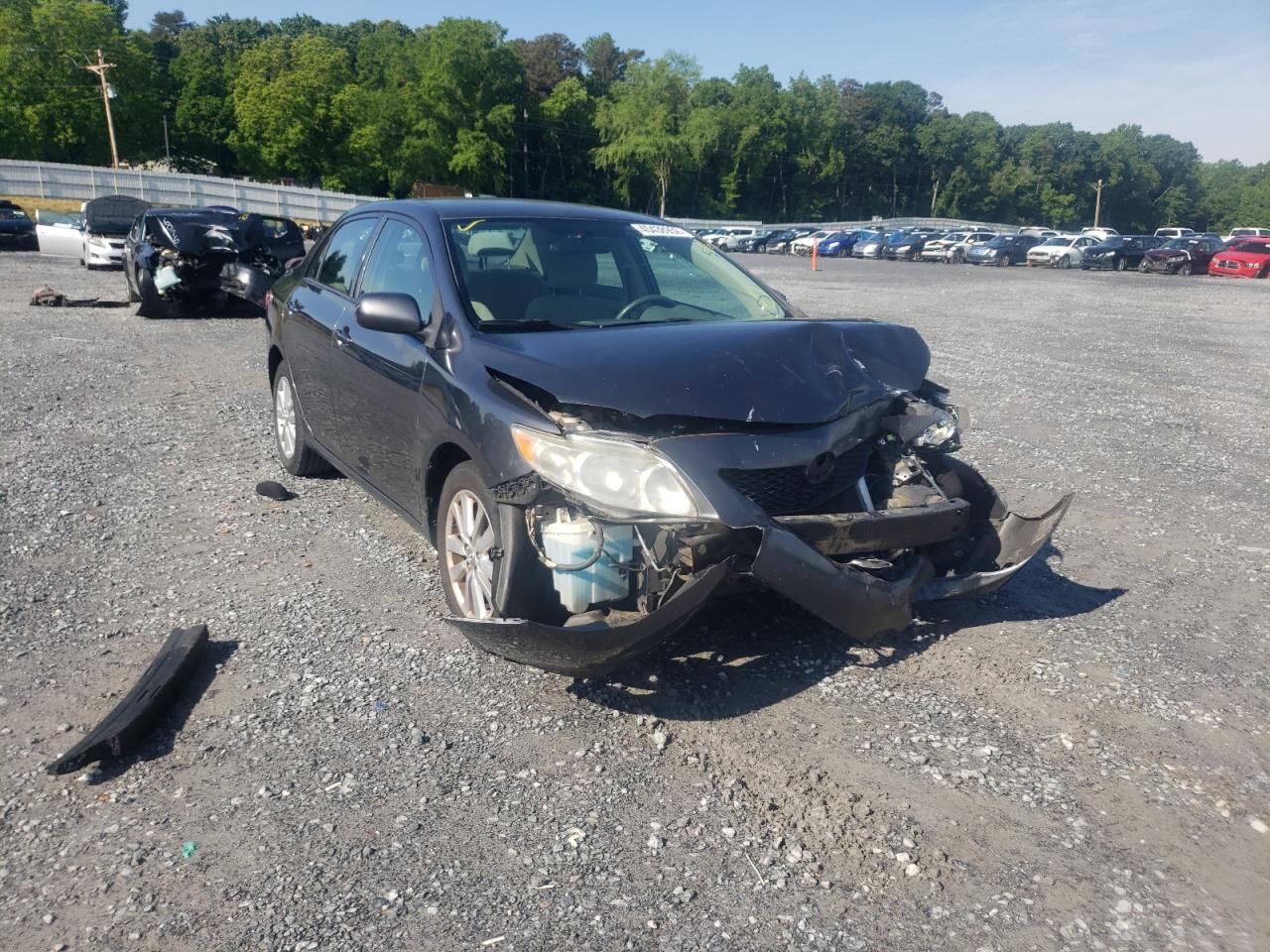TOYOTA COROLLA BA 2010 with VIN 2T1BU4EEXAC196996 - Photo from auction