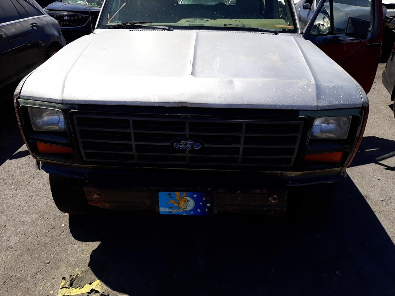 Photo 7 from auction – 1982 FORD BRONCO U10 with VIN 1FMEU15GXCLA53048