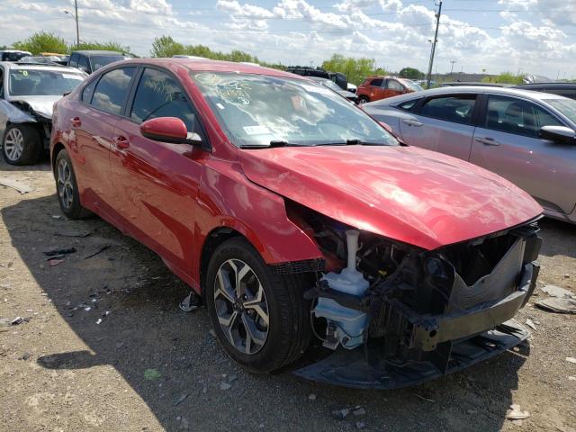 KIA FORTE FE 2019 with VIN 3KPF24ADXKE061881 - Photo from auction