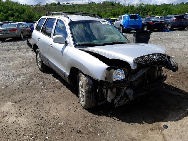 HYUNDAI SANTA FE G 2004 with VIN KM8SC73E24U740028 - Photo from auction