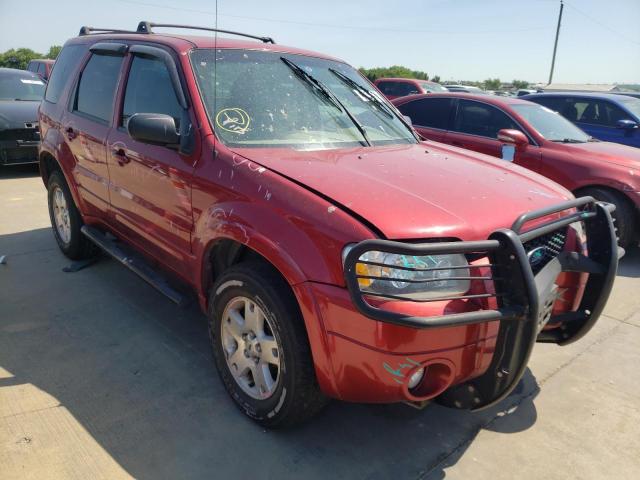 FORD ESCAPE LIM 2007 with VIN 1FMYU04117KA25834 - Photo from auction