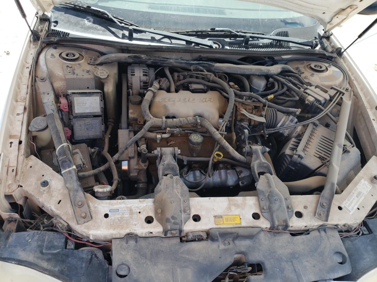 Photo 9 from auction – 2001 CHEVROLET MONTE CARL with VIN 2G1WW12E219281922