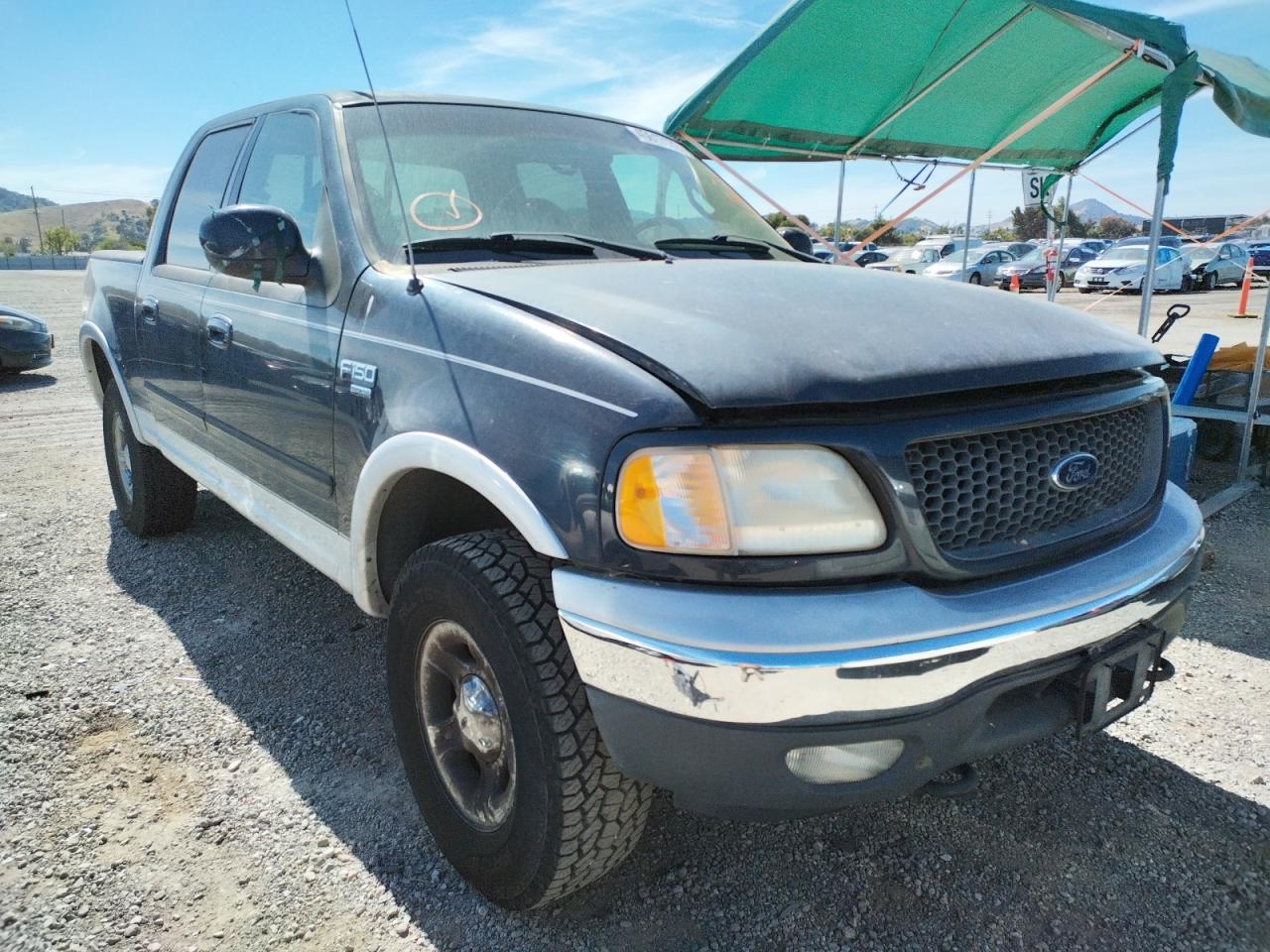 FORD F150 SUPER 2001 with VIN 1FTRW08LX1KE87749 - Photo from auction