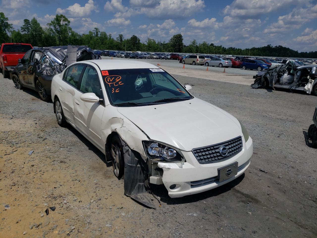 NISSAN ALTIMA S 2005 with VIN 1N4AL11D45C364663 - Photo from auction