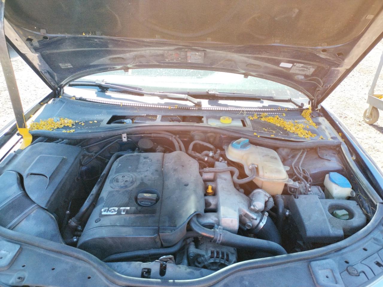 Photo 7 from auction – 2004 VOLKSWAGEN PASSAT GLS with VIN WVWPD63B24P040760