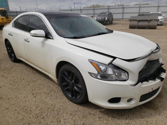 NISSAN MAXIMA S 2011 with VIN 1N4AA5AP7BC827995 - Photo from auction
