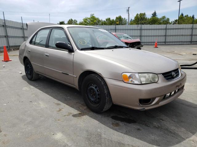 TOYOTA COROLLA CE 2001 with VIN 1NXBR12E91Z556813 - Photo from auction