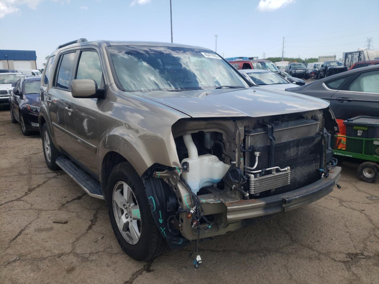 HONDA PILOT EXL 2009 with VIN 5FNYF48559B043093 - Photo from auction