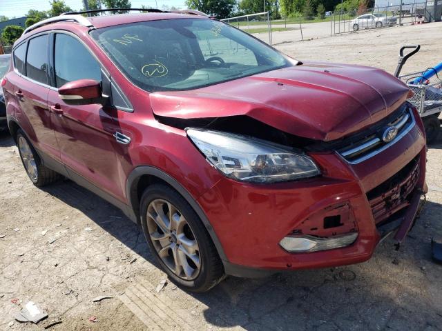 FORD ESCAPE TIT 2014 with VIN 1FMCU9J9XEUB53192 - Photo from auction