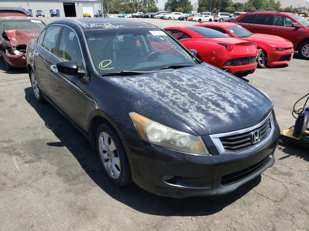 HONDA ACCORD EX 2008 with VIN 1HGCP36768A025359 - Photo from auction