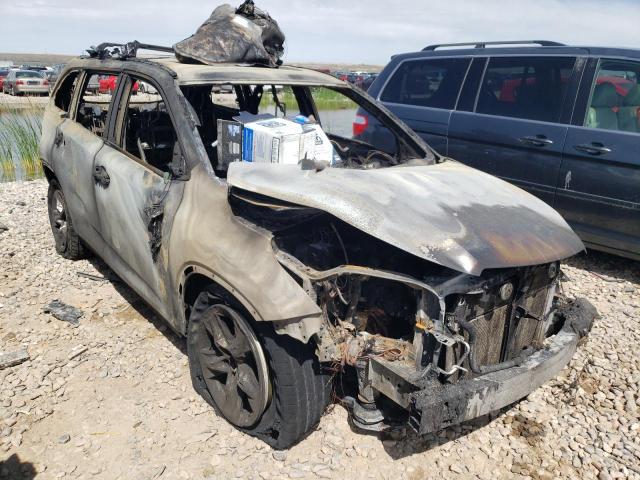 TOYOTA HIGHLANDER 2019 with VIN 5TDDGRFH3KS064015 - Photo from auction