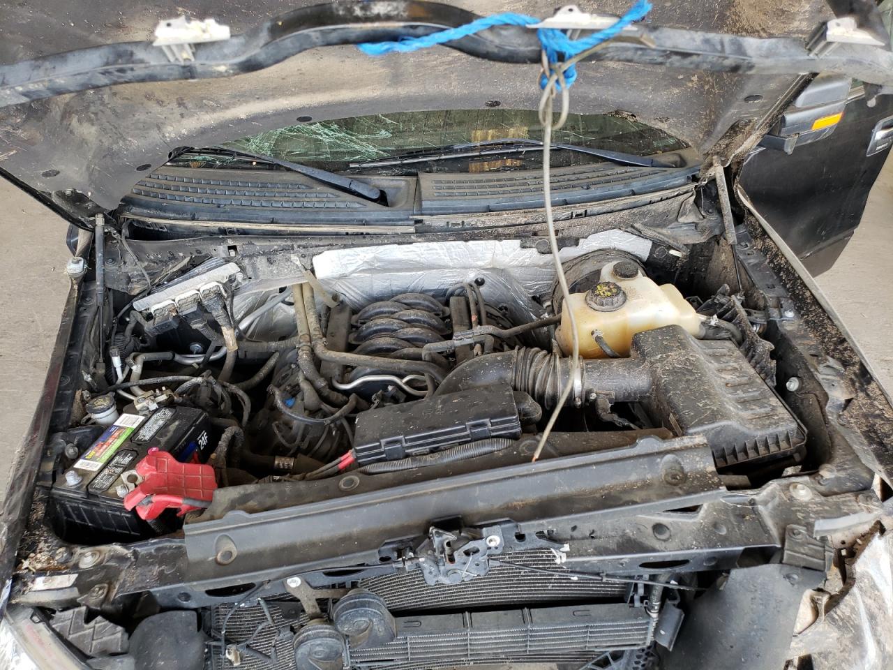 Photo 7 from auction – 2013 FORD F150 SUPER with VIN 1FTFW1CF2DFD62865
