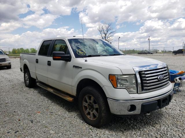 Photo 1 from auction – 2010 FORD F150 SUPER with VIN 1FTFW1EV6AFD06458