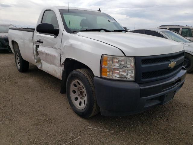 CHEVROLET SILVERADO 2009 with VIN 1GCEC14X19Z186747 - Photo from auction