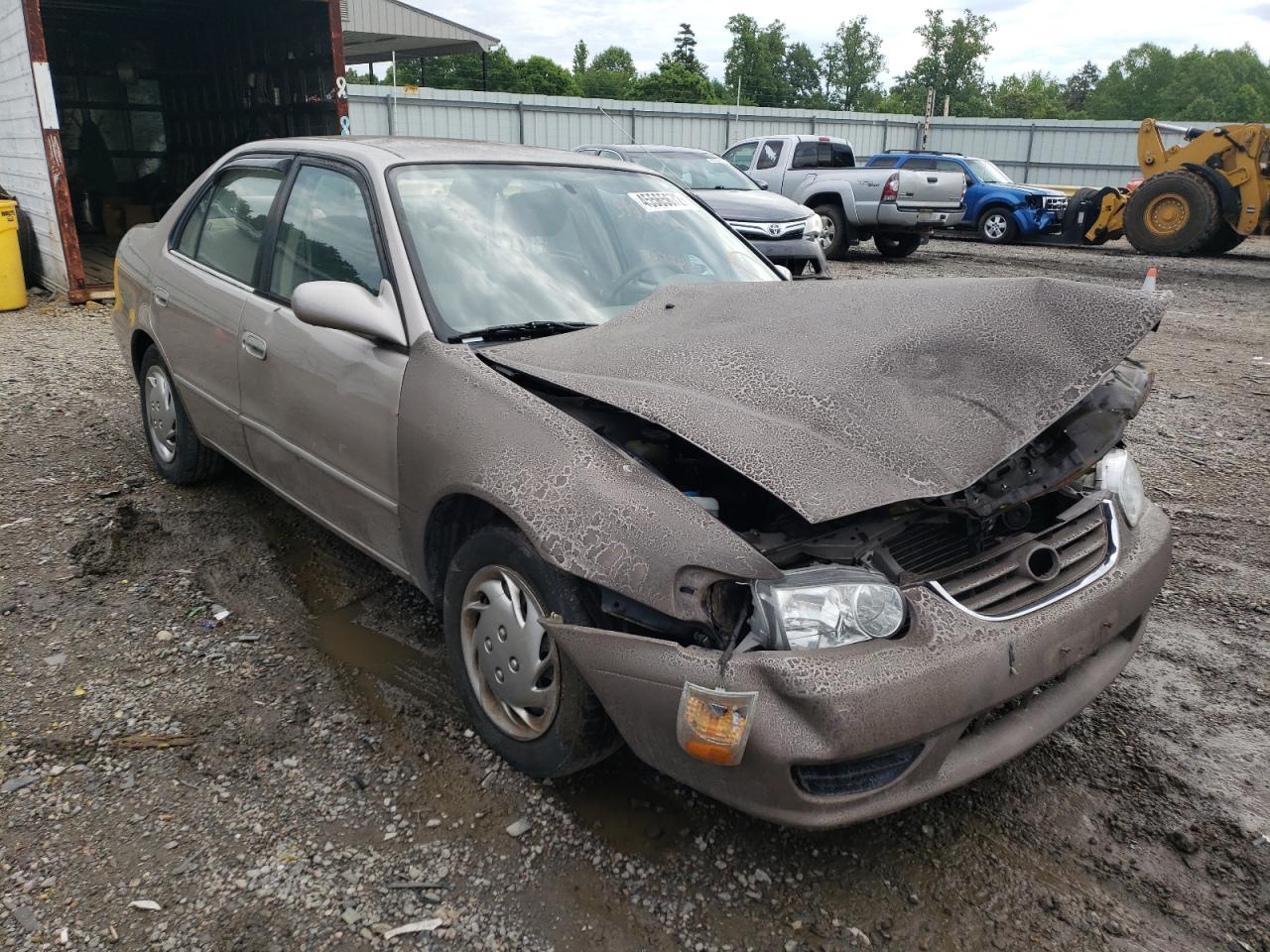 TOYOTA COROLLA CE 2001 with VIN 2T1BR12E21C503274 - Photo from auction