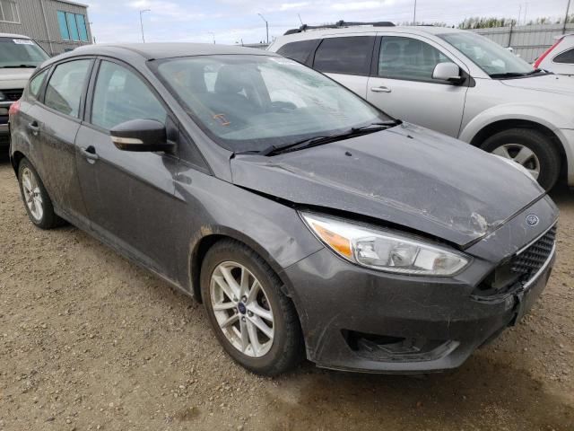 FORD FOCUS SE 2015 with VIN 1FADP3K2XFL309484 - Photo from auction