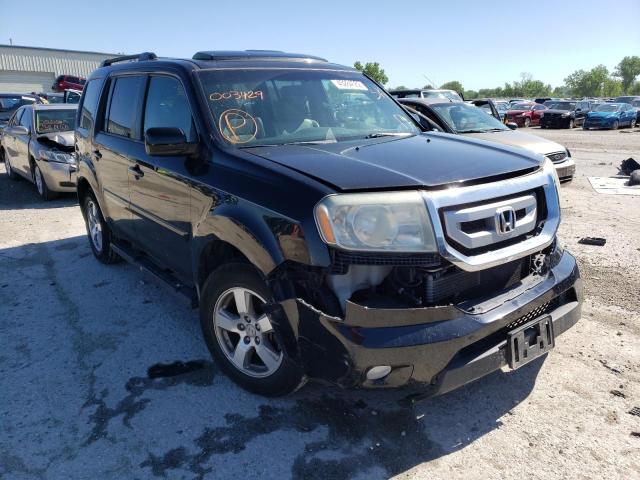 HONDA PILOT EXL 2010 with VIN 5FNYF3H51AB003429 - Photo from auction
