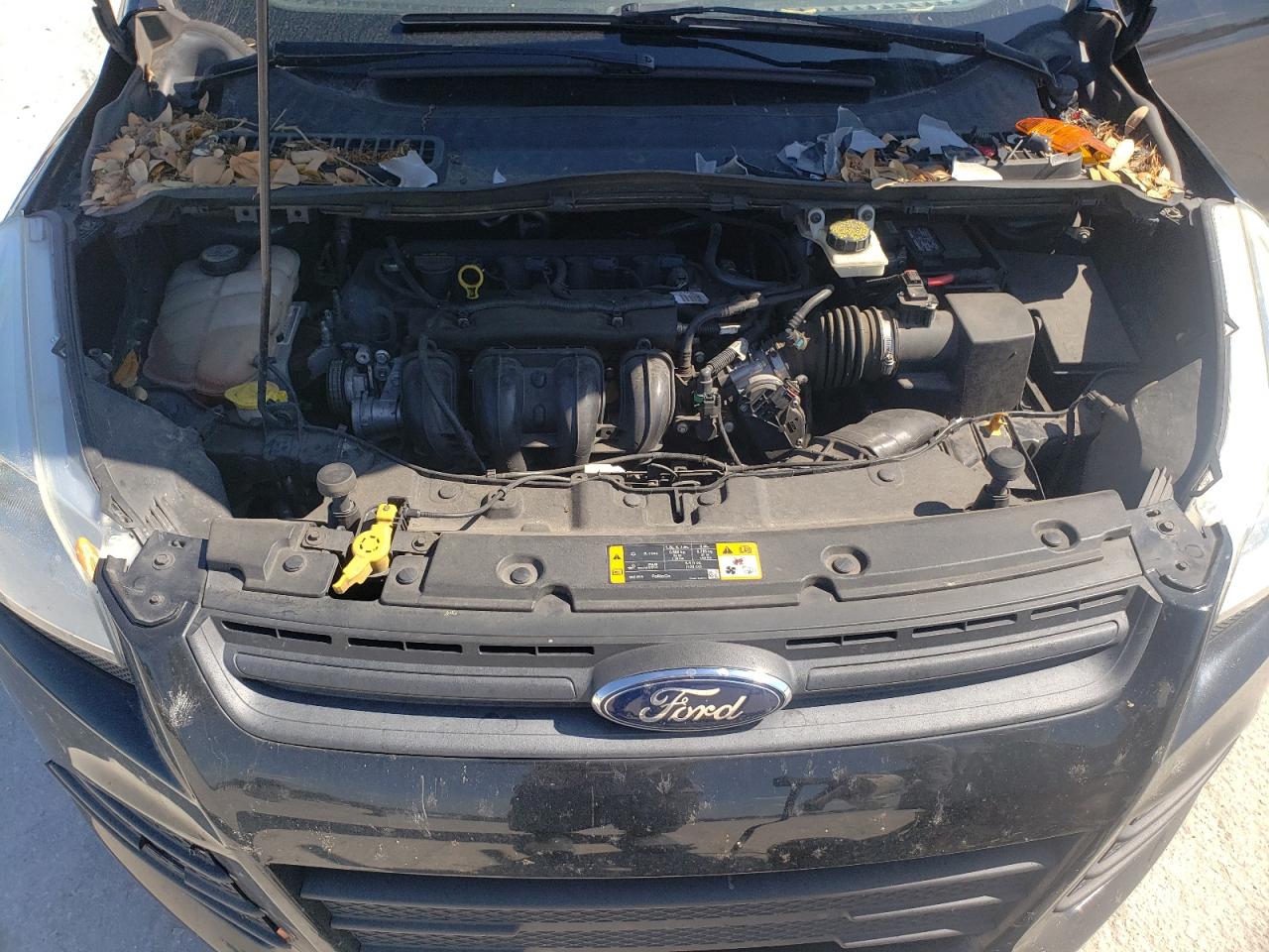 Photo 7 from auction – 2014 FORD ESCAPE S with VIN 1FMCU0F73EUA35441