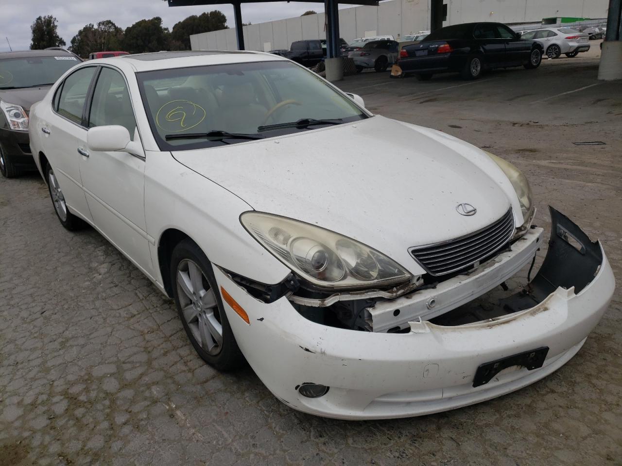 LEXUS ES 330 2006 with VIN JTHBA30G365160453 - Photo from auction