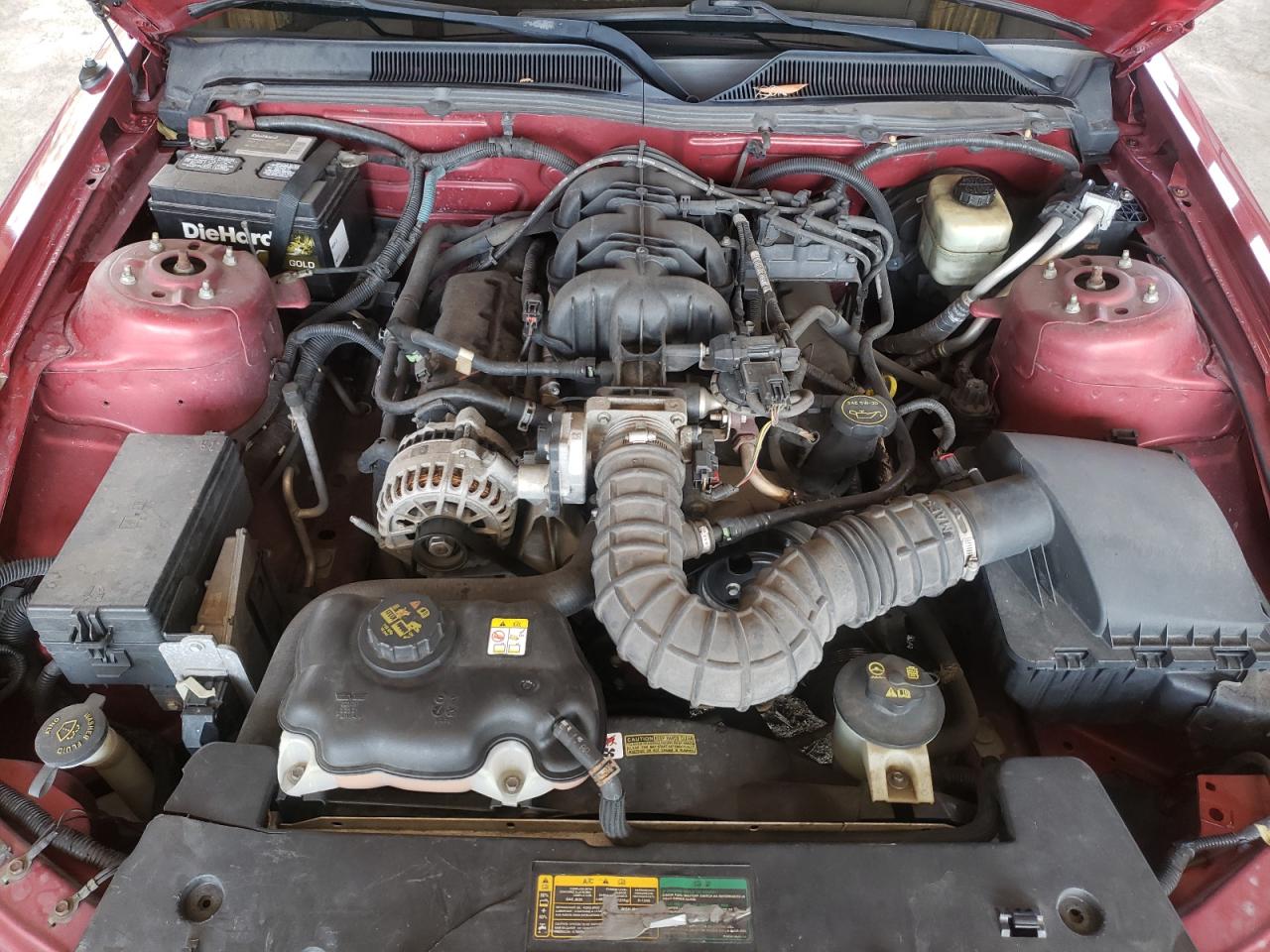 Photo 7 from auction – 2008 FORD MUSTANG with VIN 1ZVHT80N985116782