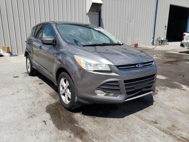 FORD ESCAPE SE 2014 with VIN 1FMCU0GXXEUE21000 - Photo from auction